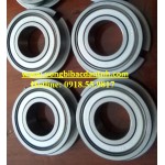 BẠC ĐẠN 6004ZNR